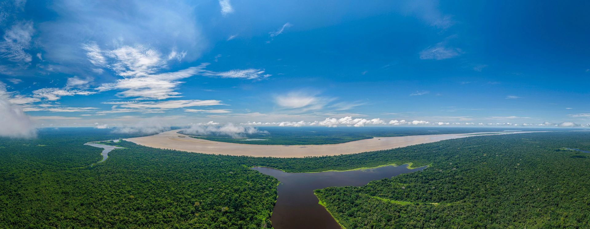 Río amazónico entre la selva
